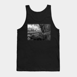 The woodland path in rural Norfolk, UK Tank Top